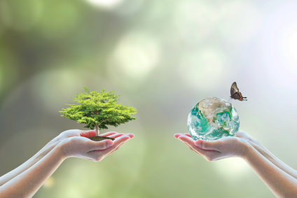 Tree Planting And Earth On Volunteer's Hands For World Environment Day Concept. Element Of This Image Furnished By Nasa